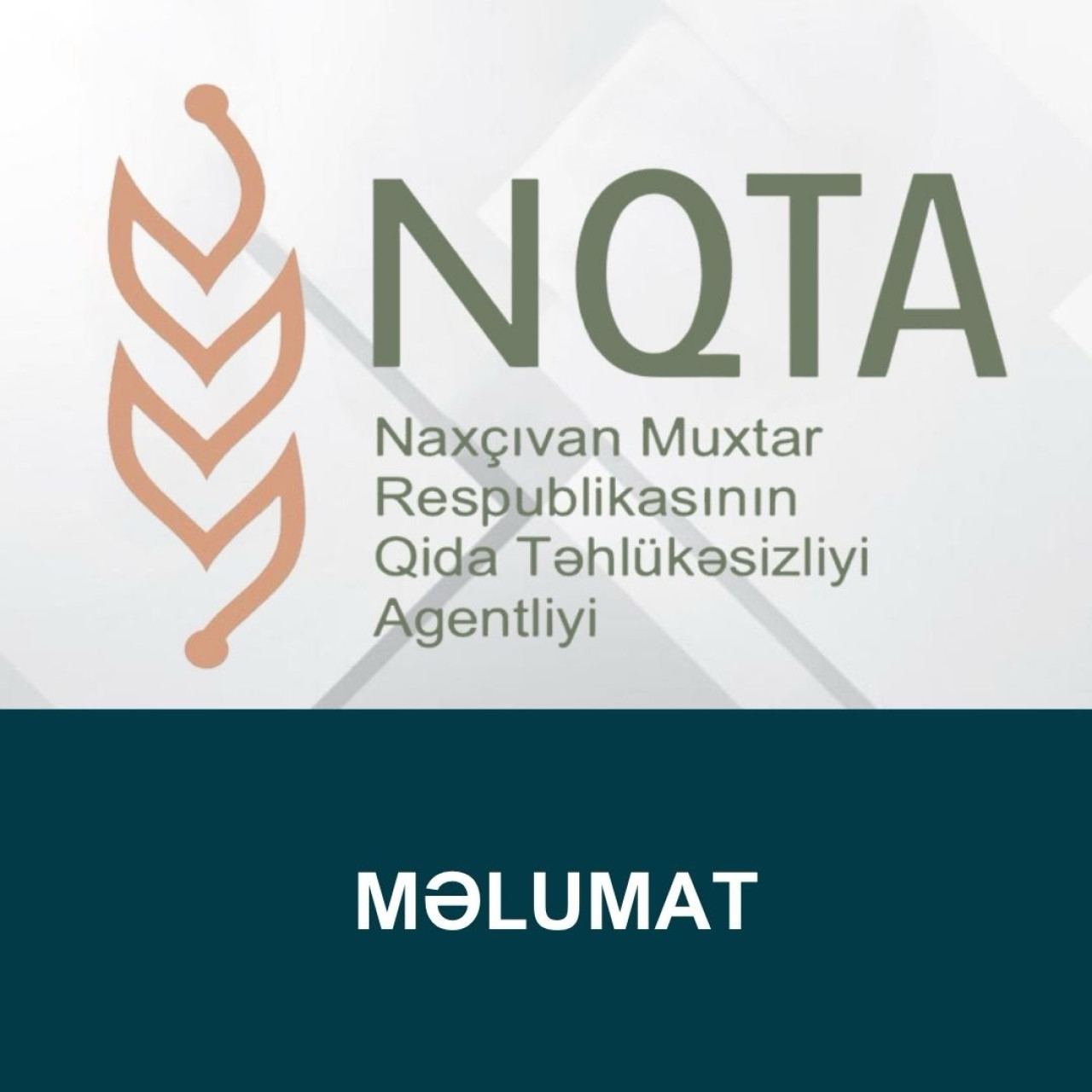 main-news